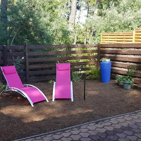 Tres Agreable Maison Au Calme Dans La Pinede Lacanau